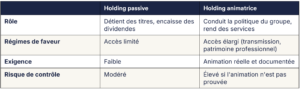 holding société